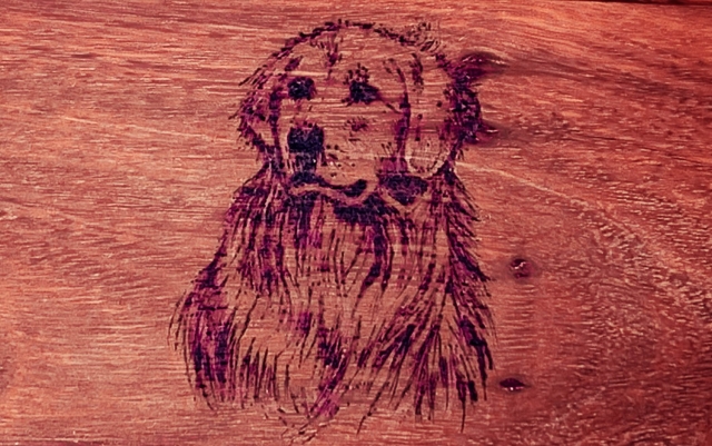 Example of Pet Pyrography Customisation